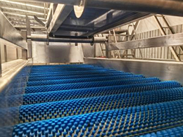 Fully-Automatic-Frozen-French-Fry-Production-Line06