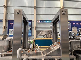 Fully-Automatic-Frozen-French-Fry-Production-Line07