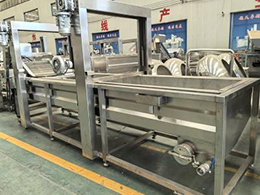 Fully-Automatic-Frozen-French-Fry-Production-Line10