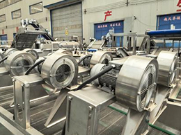 Fully-Automatic-Frozen-French-Fry-Production-Line11