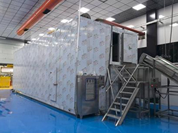 Fully-Automatic-Frozen-French-Fry-Production-Line15