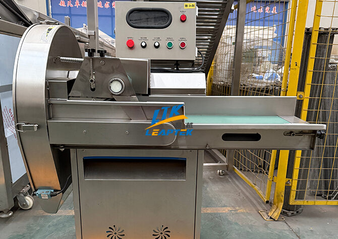 Digital-Vegetable-Cutter09