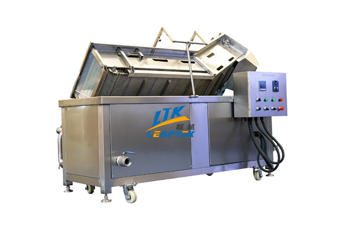 Continuous-Fryer05